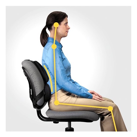 Fellowes Ergonomics professional back support pillow Fellowes Ergonomics professional back support pillow