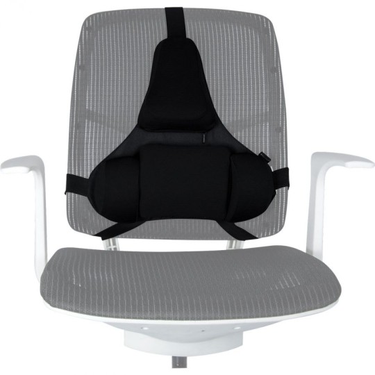 Fellowes Ergonomics professional back support pillow