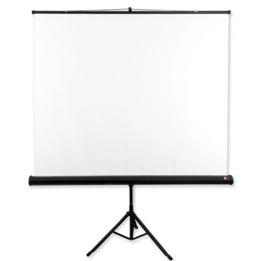 Avtek Tripod Standard 200 projection screen 1:1