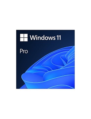 Windows 11 Pro - ESD
