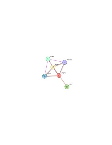 Halvpalle2