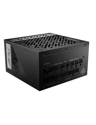 MSI MPG A1000G PCIE5 strömförsörjningsenheter 1000 W 20+4 pin ATX ATX Svart