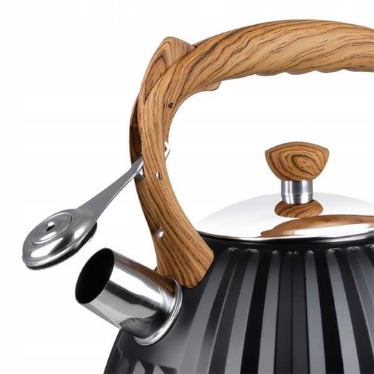 PROMIS TMC12 kettle 3 L Black Stainless steel
