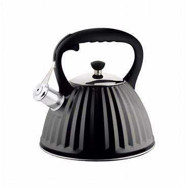 PROMIS TMC11M kettle 2 L Black  Stainless steel